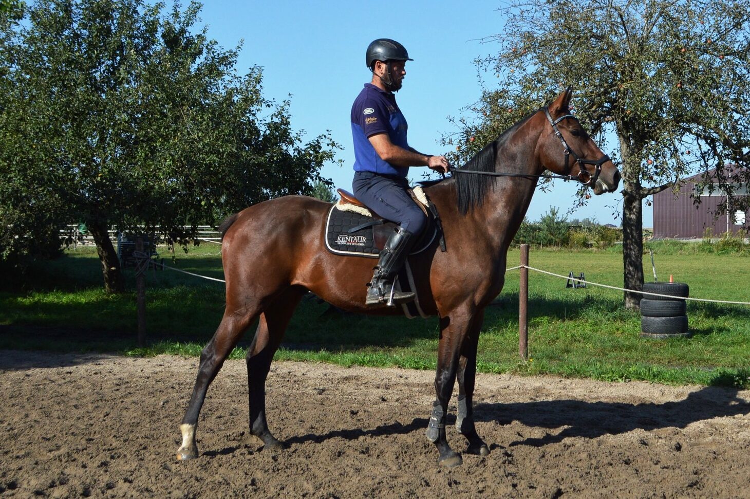 Trening koni – Nasza filozofia